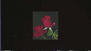 Date in the Dark trailer thumbnail