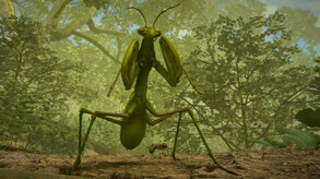 Insect Worlds Trailer trailer thumbnail
