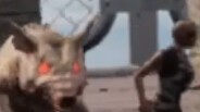 The Arena trailer thumbnail
