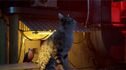 Trailer trailer thumbnail