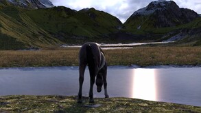 HORSE LIFE:Gameplay trailer trailer thumbnail