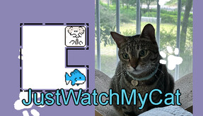 JustWatchMyCatTrailer trailer thumbnail