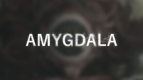 Amygdala - Teaser II 2023 trailer thumbnail