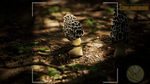 Morels: The Hunt 2 - Announcement Trailer trailer thumbnail
