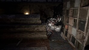 Grave Teaser trailer thumbnail