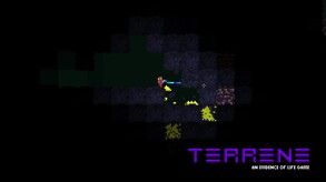 Terrene 2.5 Shorts 2 trailer thumbnail