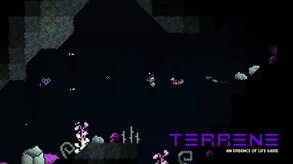 Terrene 2.5 Shorts 6 trailer thumbnail