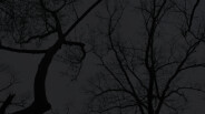 Look Inside Trailer trailer thumbnail