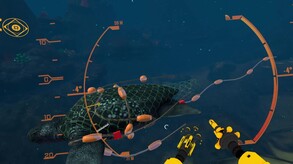 Turtle Entanglement Teaser trailer thumbnail