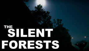 The Silent Forests announcement Trailer trailer thumbnail