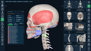 Bone Mapping Muscle Attachments trailer thumbnail