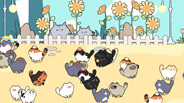 猫语拾光 Cat And Life trailer thumbnail