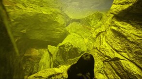 Vribyss Refuge™ The Escape Trailer trailer thumbnail
