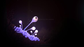 Evolution From the little light Trailer trailer thumbnail