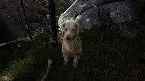 Release date trailer trailer thumbnail