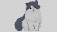 CAT'S DREAM trailer thumbnail