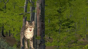 Boss battle trailer thumbnail
