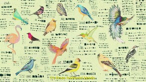 Avian Enigma Promo ENG trailer thumbnail