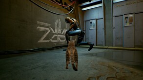 CAT trailer thumbnail