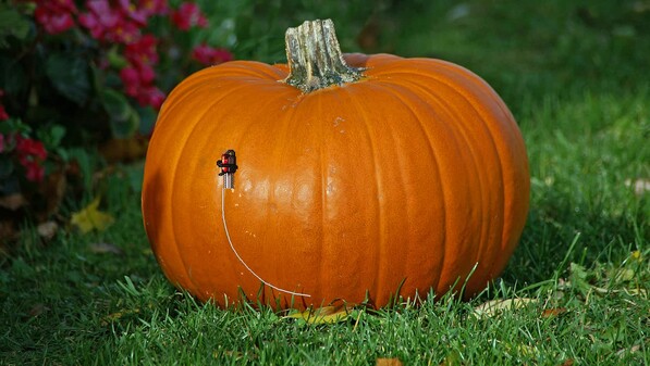 Halloween trailer thumbnail