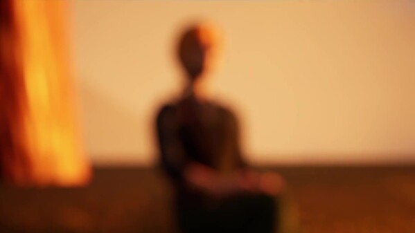 Fern Light - Wanda trailer thumbnail