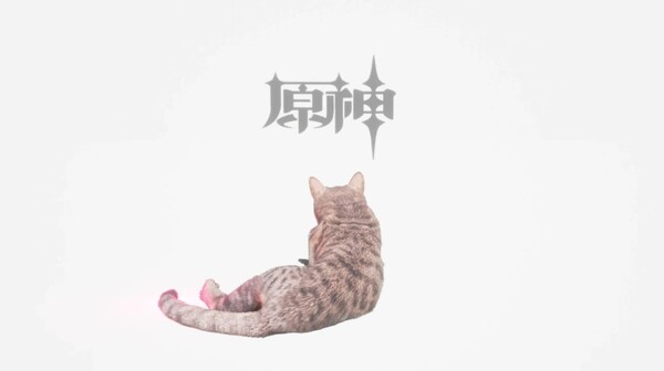 开发内容介绍2 trailer thumbnail