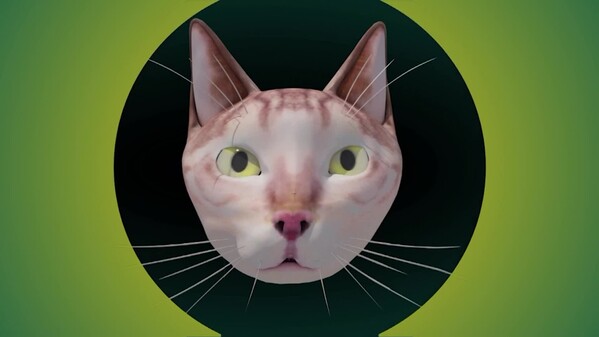 SIMBA THE CAT TRAILER trailer thumbnail