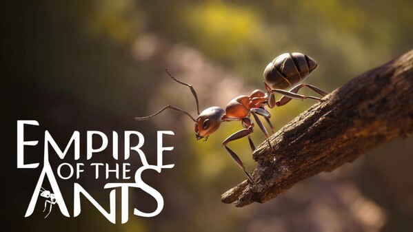 Empire of the Ants - Launch Trailer trailer thumbnail