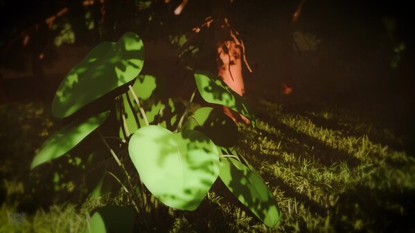 Frogz: Project Announcement! trailer thumbnail