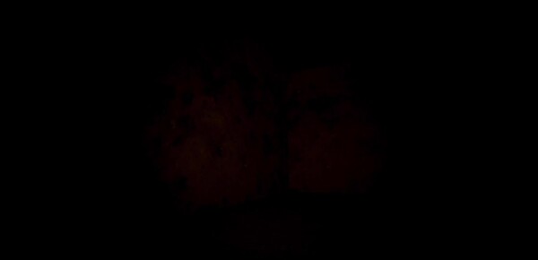 trailer trailer thumbnail