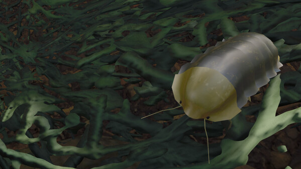 Trailer trailer thumbnail