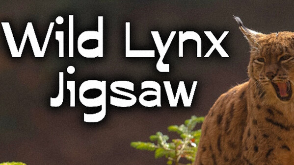Wild Lynx Jigsaw trailer thumbnail