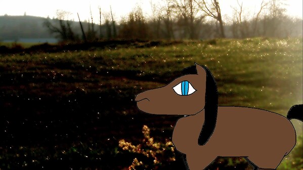 horsetrailer trailer thumbnail