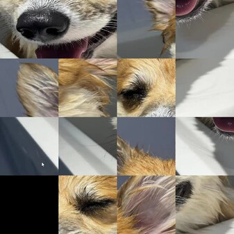 dog trailer thumbnail