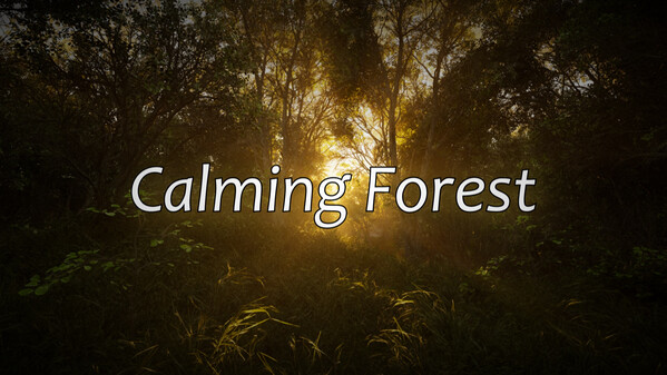 Calming Forest Trailer - RTX 4070 trailer thumbnail