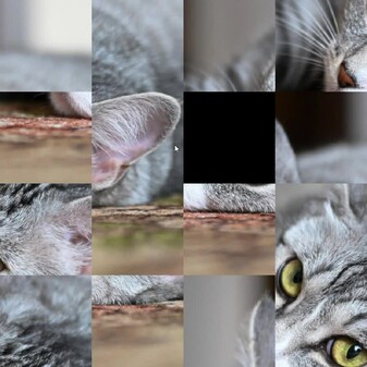 catcat trailer thumbnail