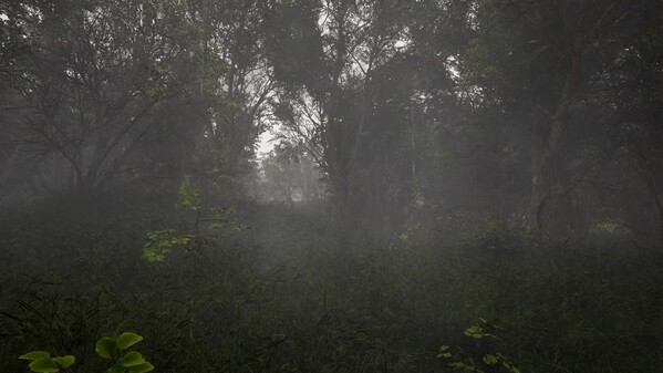Calming Forest Trailer - GTX 1070 trailer thumbnail