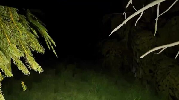 Into the dark trailer thumbnail