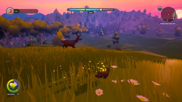 Whistle Pig: Announcement Trailer trailer thumbnail