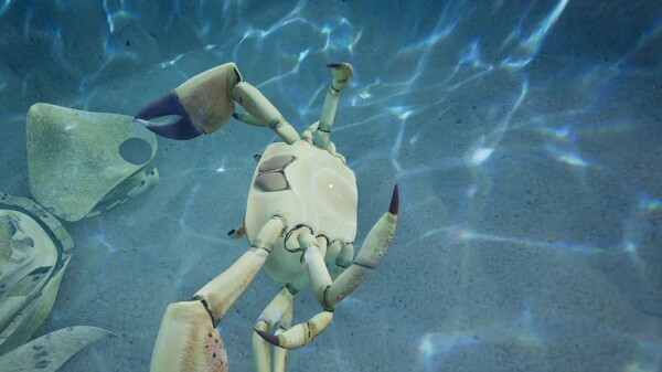 King Crab Teaser Trailer trailer thumbnail
