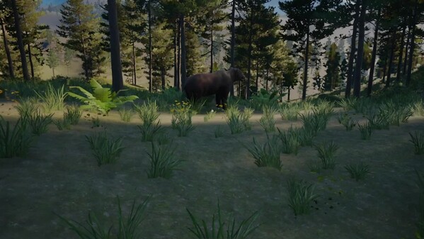 Wildlife Trailer 1 trailer thumbnail