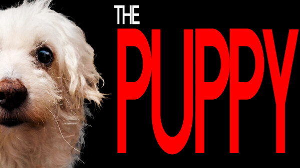 The Puppy Trailer trailer thumbnail