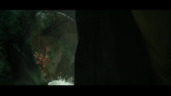 Mold-trailer trailer thumbnail