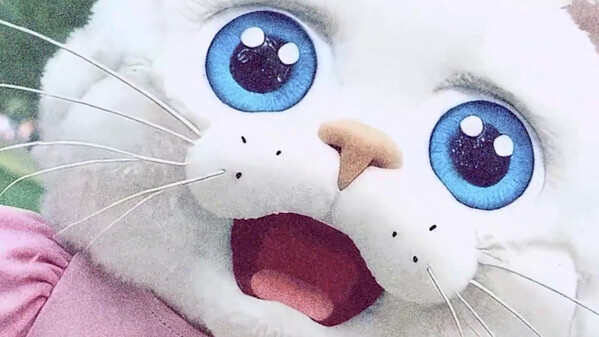 Fresh cut catnip trailer thumbnail