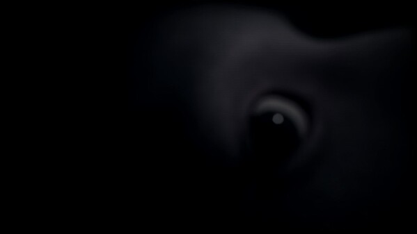 Waking Dreams Teaser trailer thumbnail