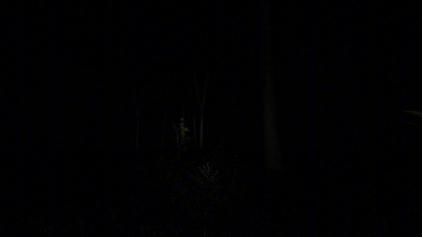 Trailer trailer thumbnail