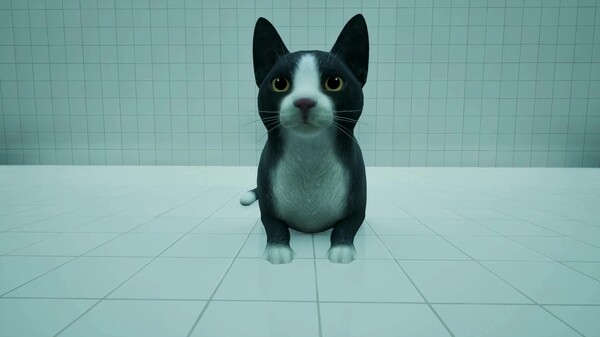 LIMINAL CATPV1 trailer thumbnail