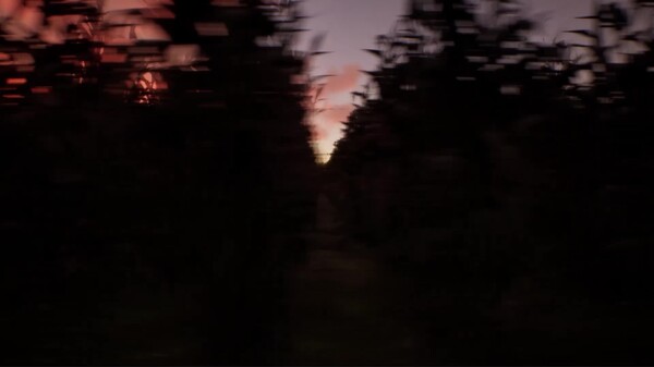 The Harvest - Trailer trailer thumbnail