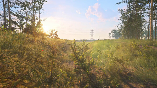 Lighting Update Sucess trailer thumbnail