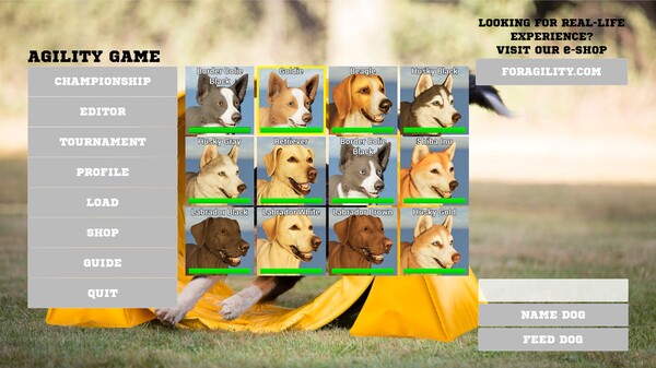 Agility game gameplay trailer thumbnail